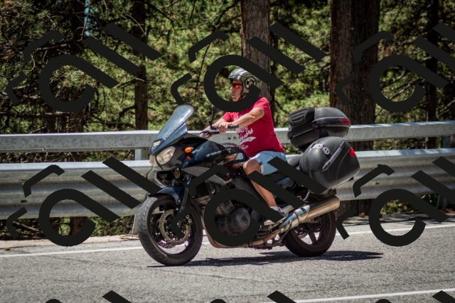 202506291249-DSC_3485_c2