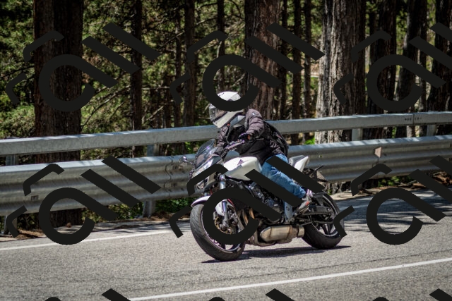 202506291249-DSC_3486_c2