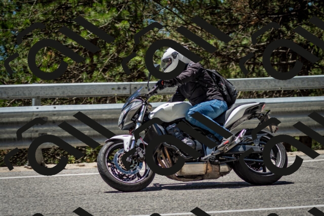 202506291249-DSC_3487_c2