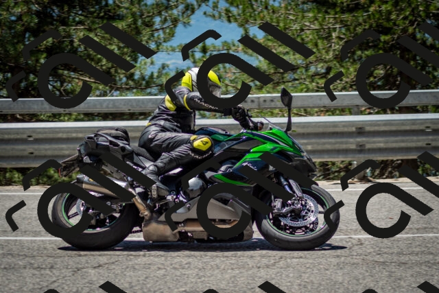 202506291251-DSC_3489_c2