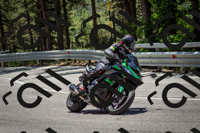 202506291251-DSC_3490_c2