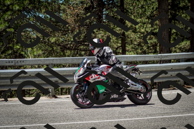 202506291251-DSC_3492_c2