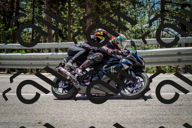 202506291251-DSC_3495_c2