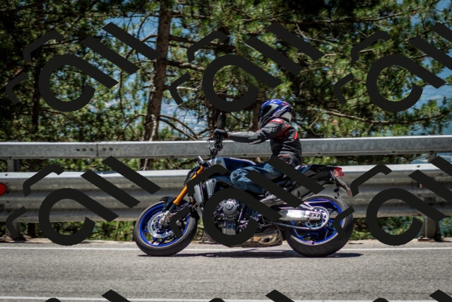 202506291252-DSC_3496_c2