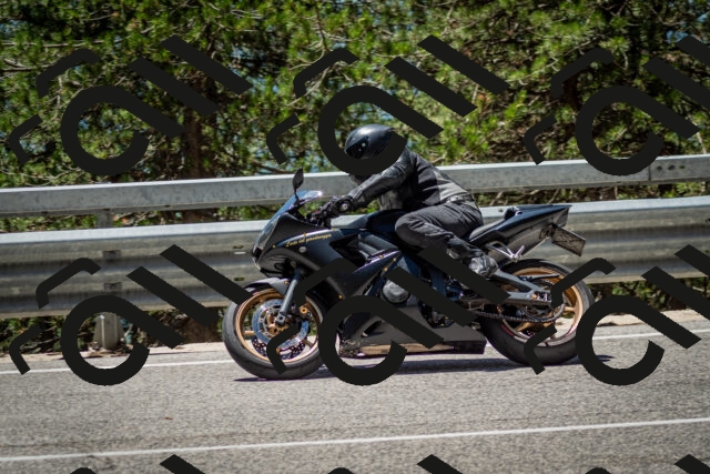 202506291252-DSC_3498_c2