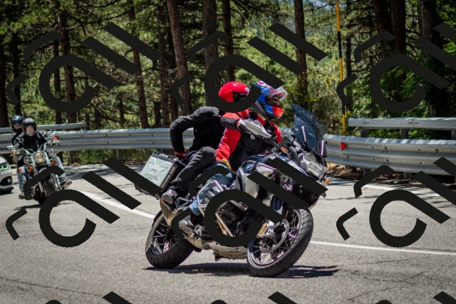 202506291252-DSC_3503_c2