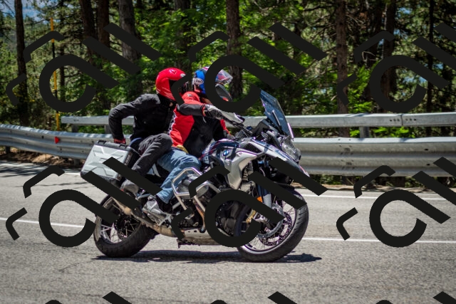 202506291252-DSC_3504_c2