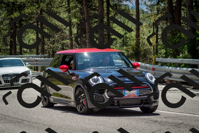 202506291253-DSC_3512_c2