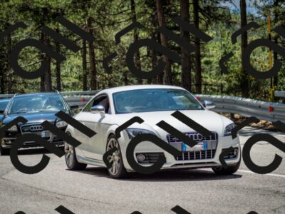 202506291253-DSC_3513_c2