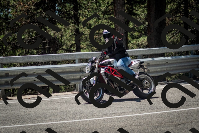 202506291253-DSC_3516_c2