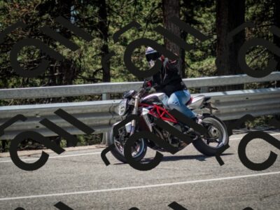 202506291253-DSC_3516_c2