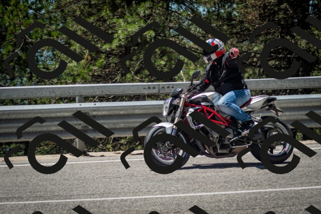 202506291253-DSC_3517_c2