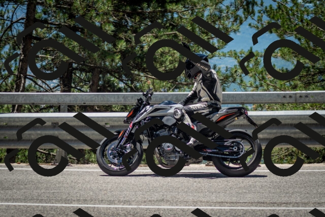 202506291253-DSC_3519_c2