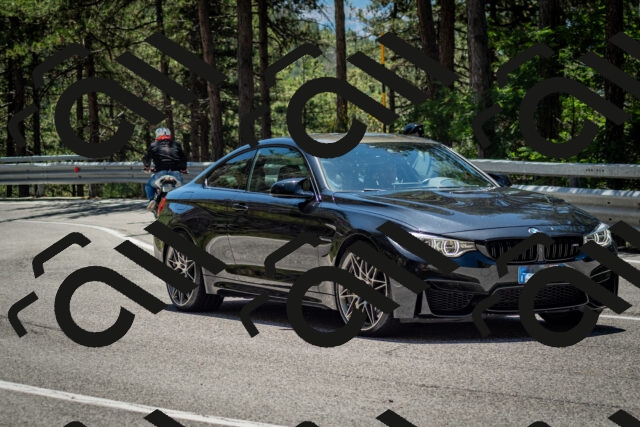 202506291253-DSC_3520_c2