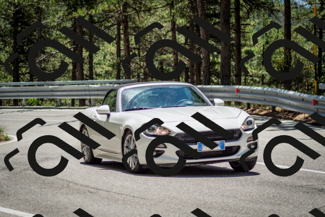 202506291254-DSC_3525_c2