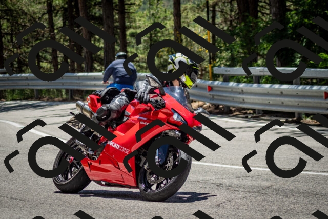 202506291254-DSC_3527_c2