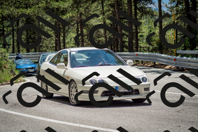 202506291254-DSC_3530_c2