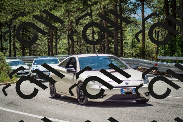 202506291254-DSC_3534_c2