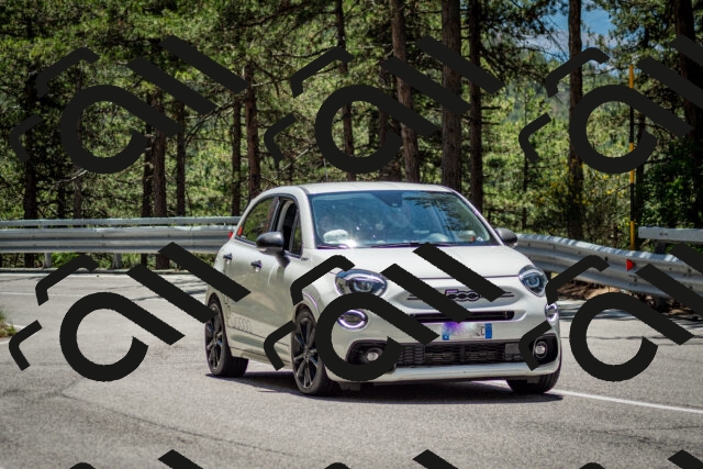 202506291255-DSC_3545_c2