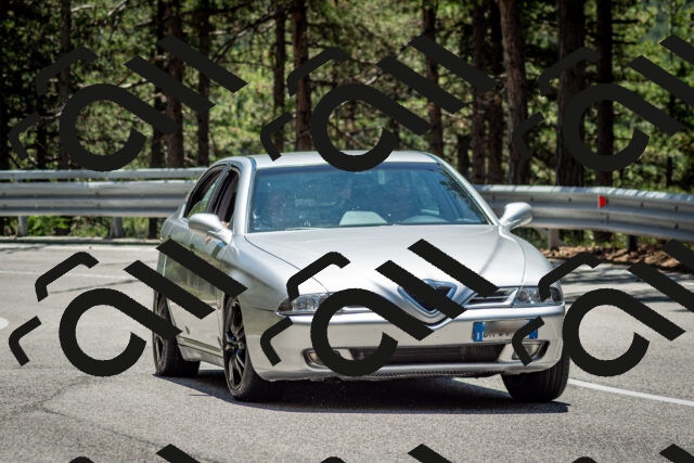 202506291255-DSC_3547_c2