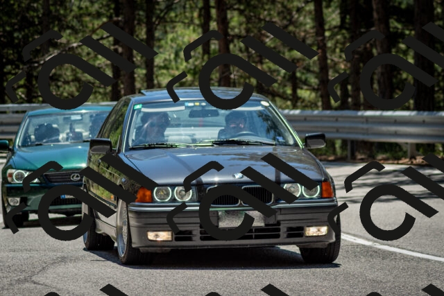 202506291256-DSC_3549_c2