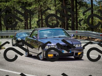 202506291256-DSC_3553_c2