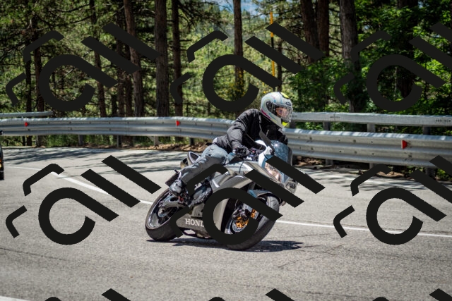 202506291256-DSC_3558_c2