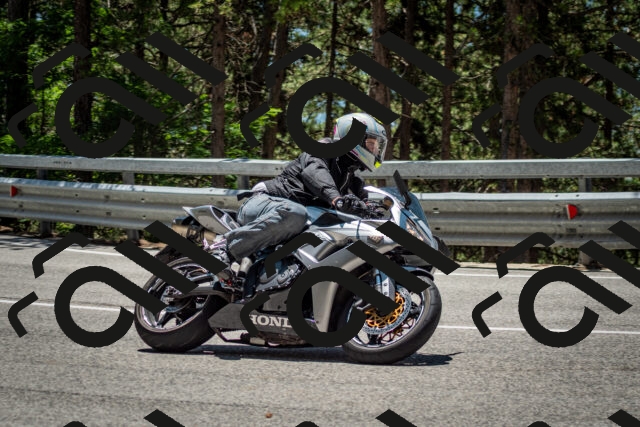 202506291256-DSC_3559_c2