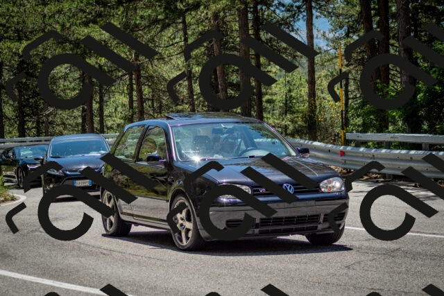 202506291257-DSC_3569_c2