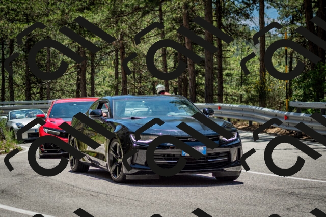 202506291257-DSC_3572_c2