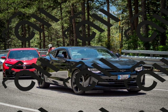 202506291257-DSC_3573_c2