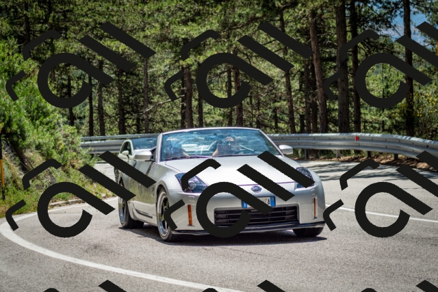 202506291257-DSC_3576_c2