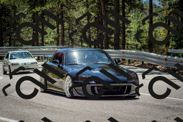 202506291257-DSC_3578_c2