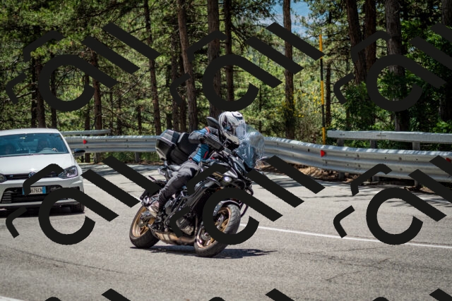 202506291257-DSC_3588_c2