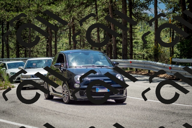 202506291257-DSC_3590_c2