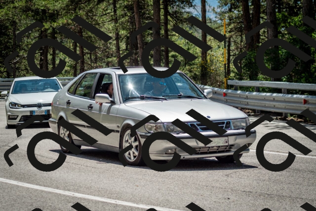 202506291257-DSC_3591_c2