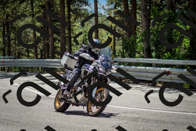 202506291257-DSC_3597_c2