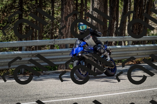 202506291257-DSC_3598_c2