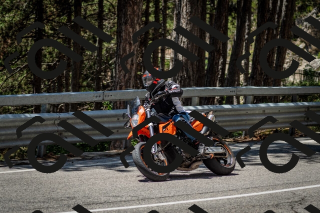 202506291257-DSC_3600_c2