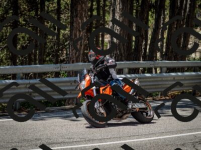 202506291257-DSC_3600_c2