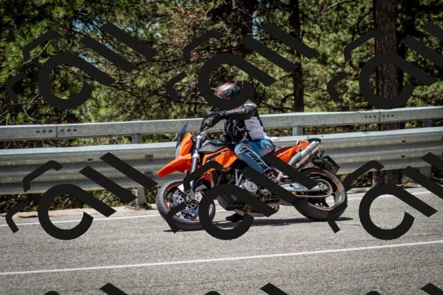 202506291257-DSC_3601_c2