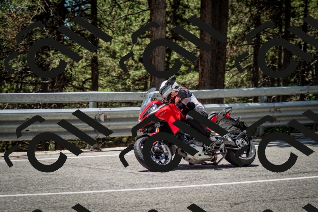 202506291258-DSC_3607_c2