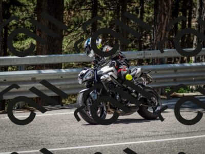 202506291258-DSC_3610_c2