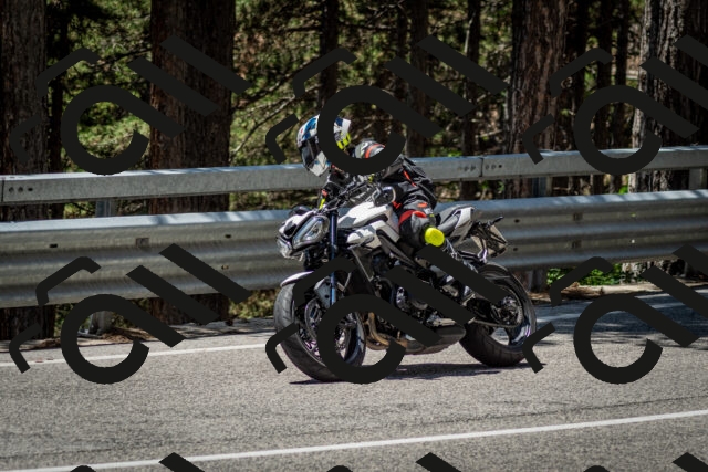 202506291258-DSC_3610_c2