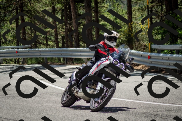 202506291258-DSC_3614_c2