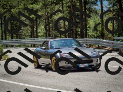 202506291258-DSC_3617_c2