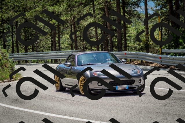 202506291258-DSC_3617_c2