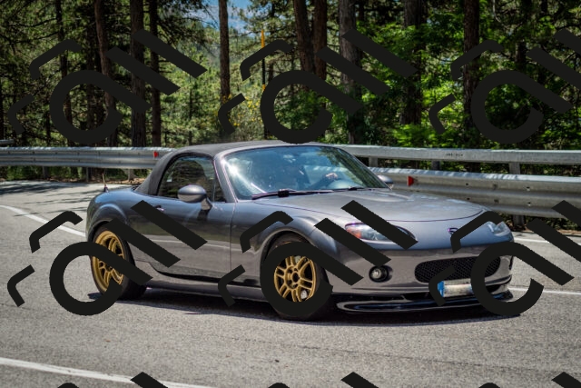 202506291258-DSC_3618_c2