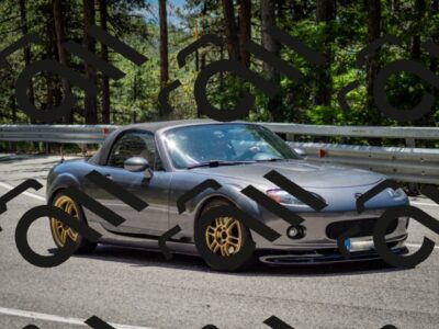 202506291258-DSC_3618_c2