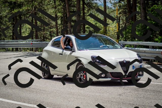 202506291300-DSC_3636_c2